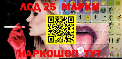 гидропоника Можга