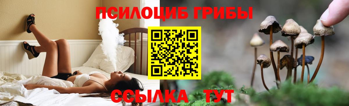 Псилоцибиновые грибы GOLDEN TEACHER Янаул
